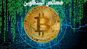 خصائص البيتكوين, ميزات البيتكوين, Bitcoin Characteristics, لماذا سعر البيتكوين مرتفع, ماهو البيتكوين, درس البيتكوين